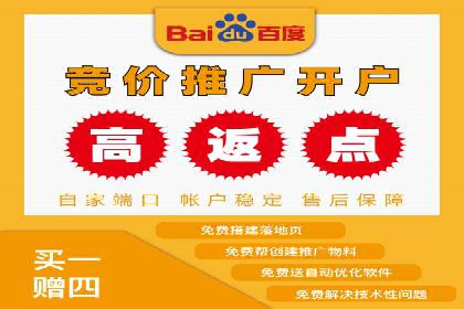 成功SEM托管代运营案例分析